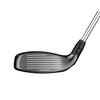 Hybride Big Bertha 2023