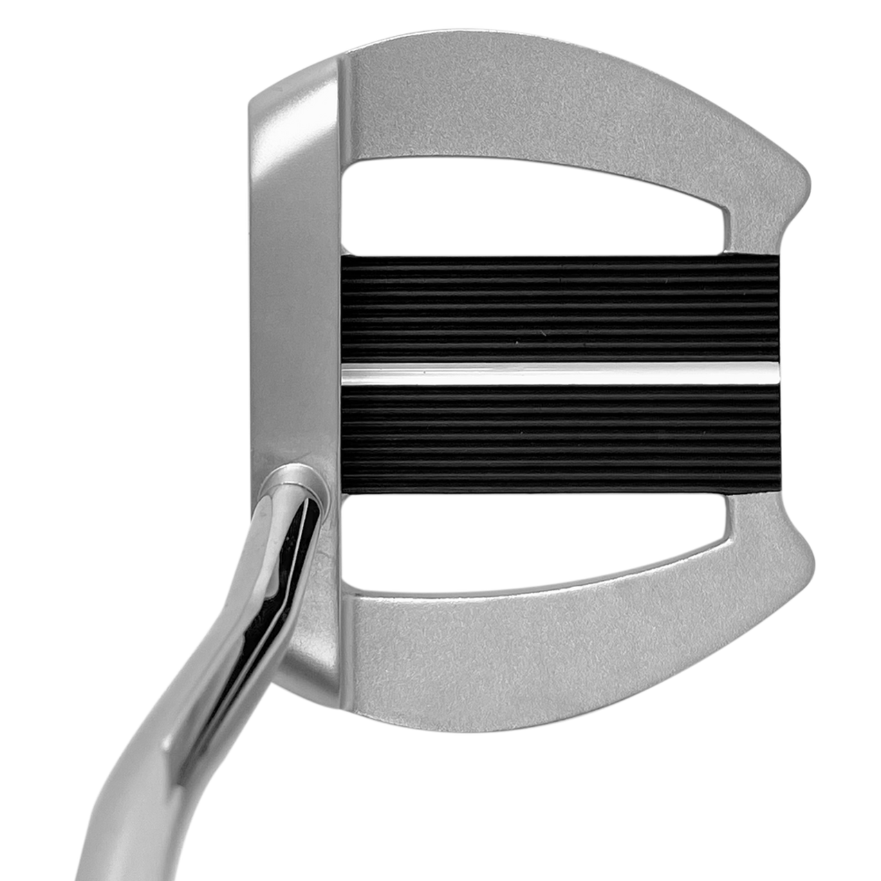 Template Biarritz Putter