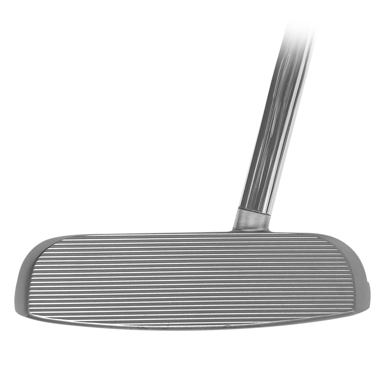 Template Biarritz Putter