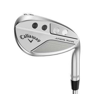 DEMO Jaws Raw Chrome Wedge with Steel Shaft