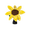 SUNFLOWER | Driver Headcover
