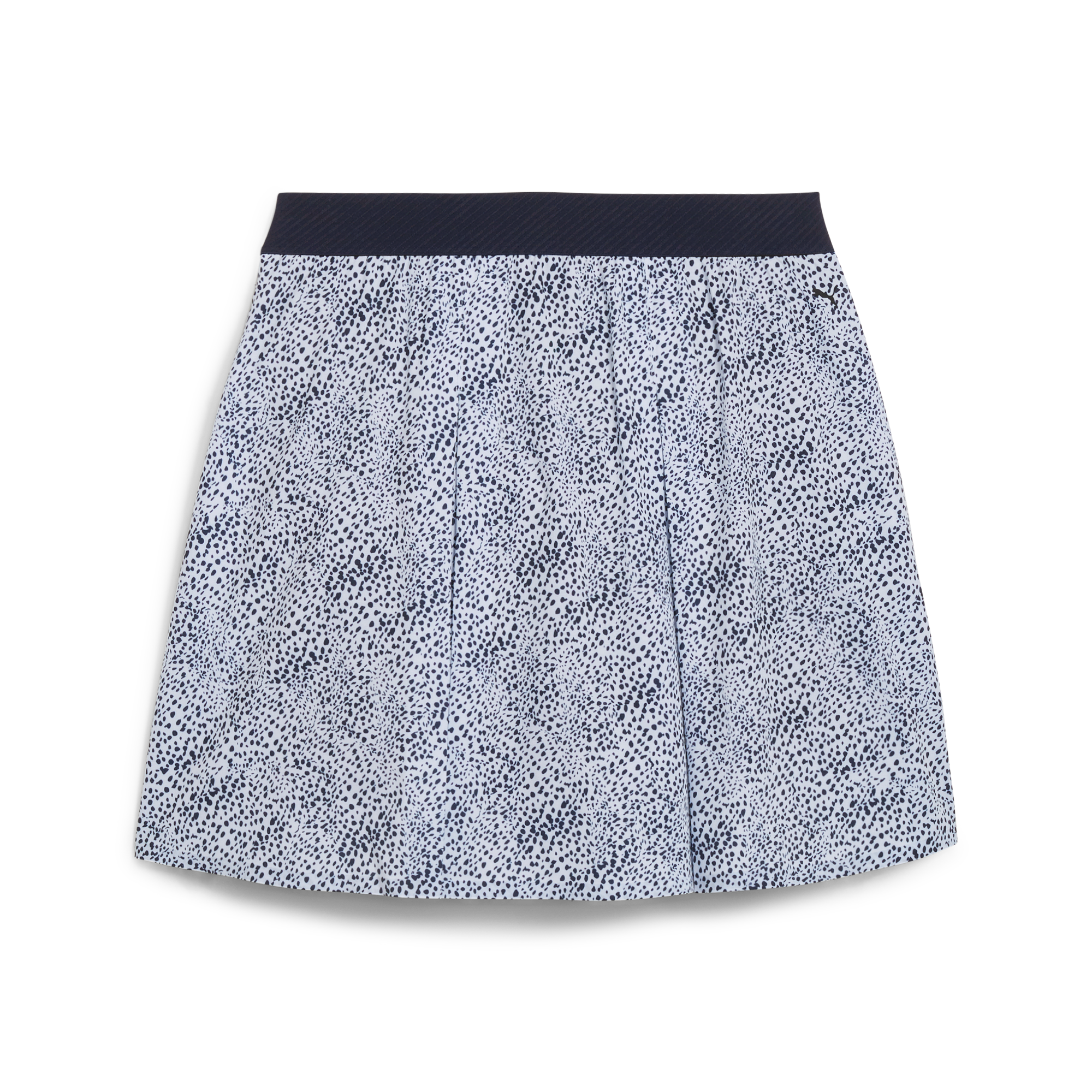 Women's Pleated Microdot Skirt