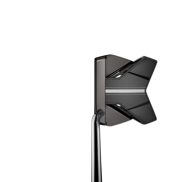 クラブ Cobra King AGERA Agera 3D Printed Putter – COBRA Golf