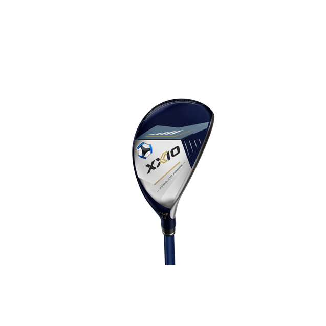 Hybride 13 XXIO