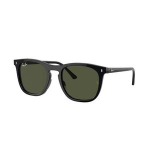 RB2210 Sunglasses - Black