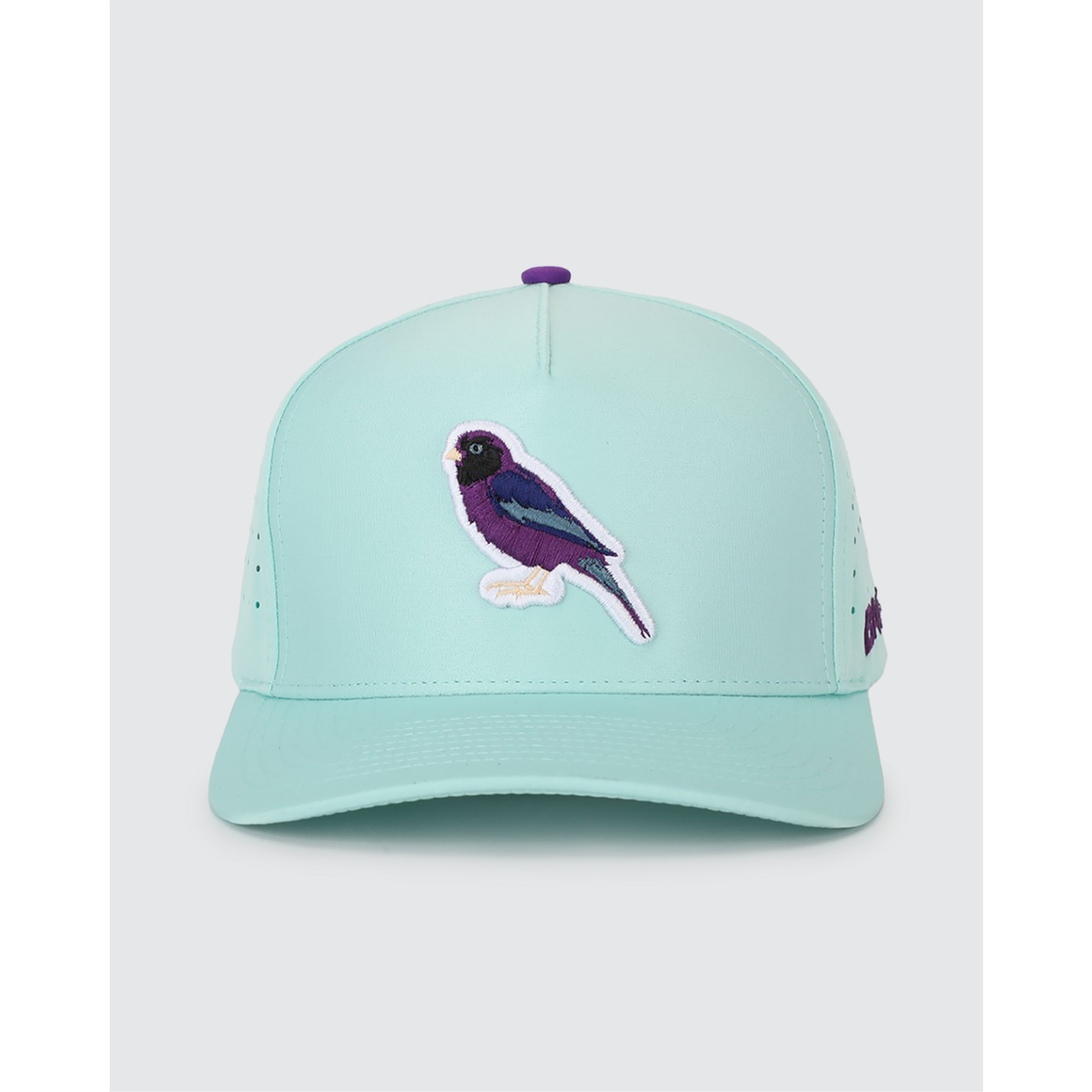 Men's BAANG Birdie Cap