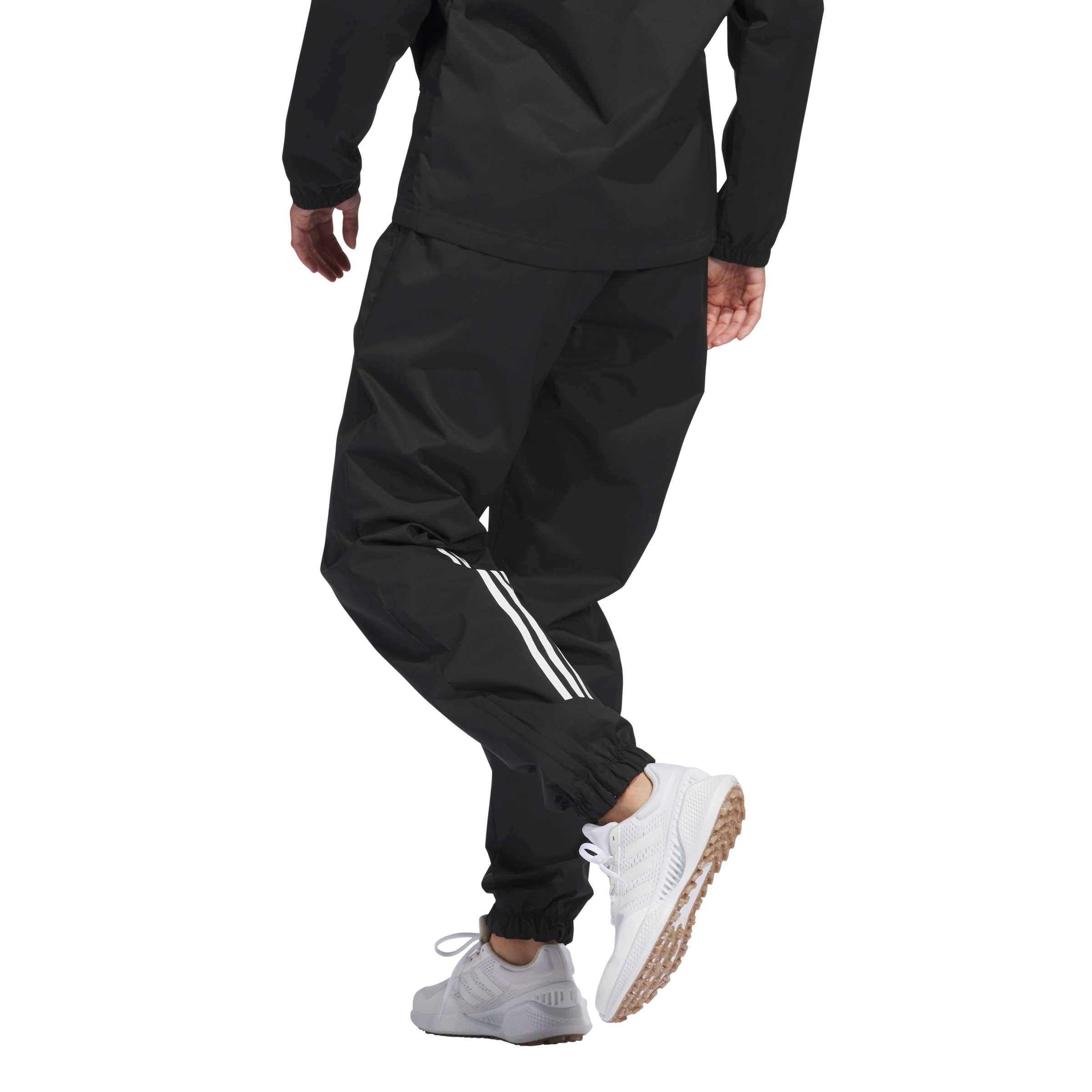 Women's Provisional Pant