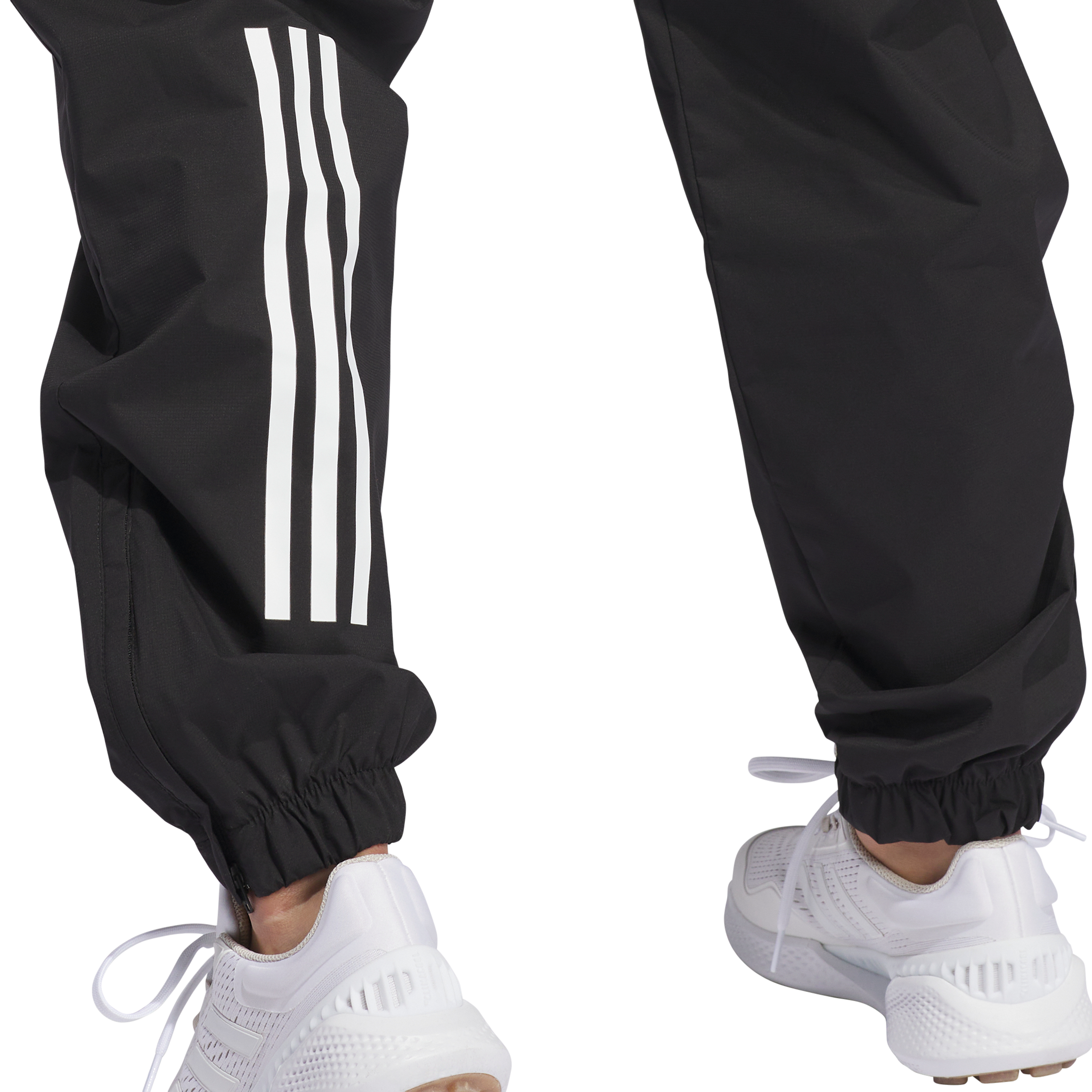 Women's Provisional Pant