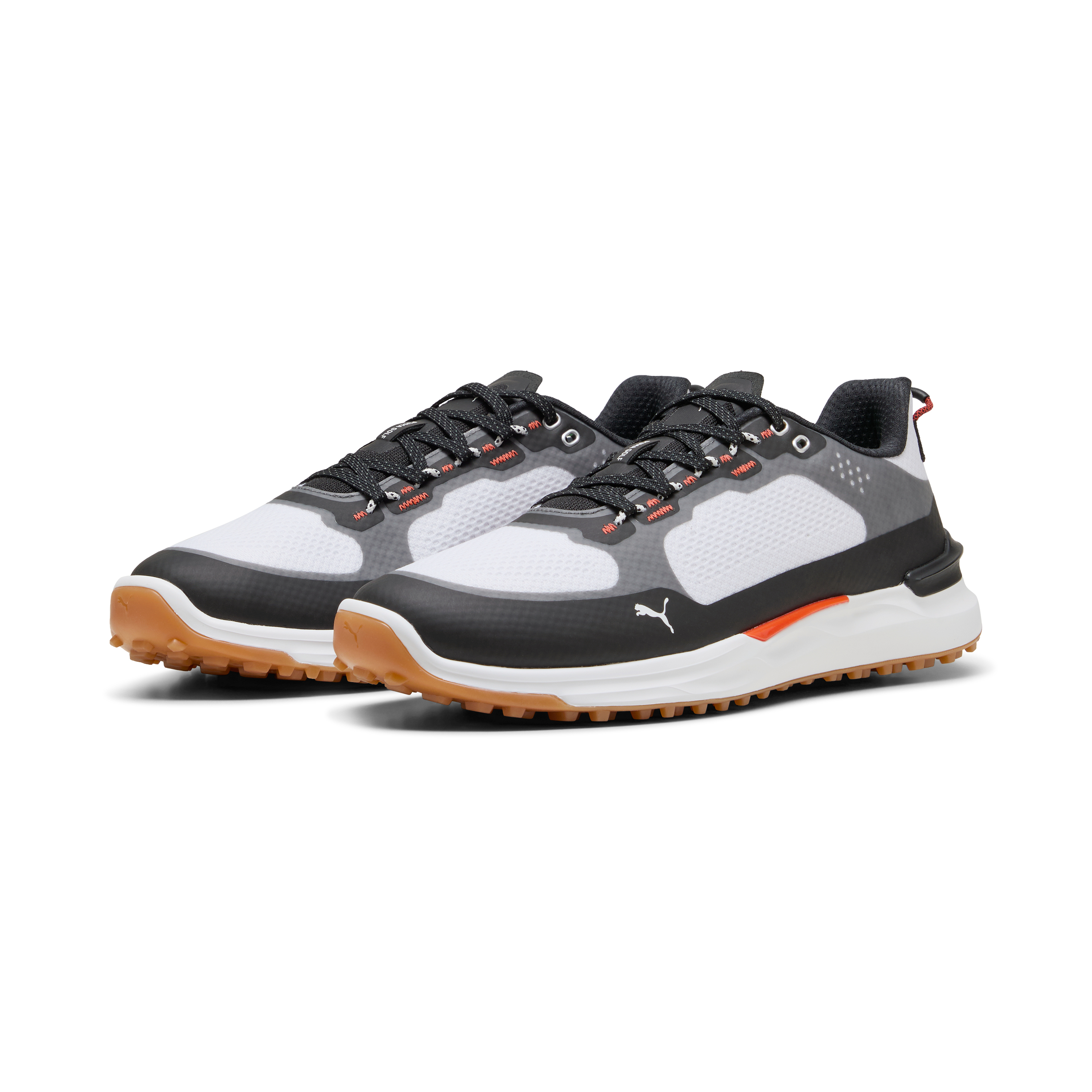 Men's Ignite Elevate X Spikeless Golf Shoe - White/Black