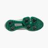 Prior Generation - Air Zoom Infinity Tour NXT 2 Spikeless Golf Shoe - White/Green