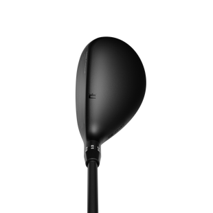 DS-ADAPT Hybrid COBRA