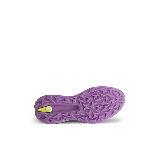 Women's BIOM H5 Spikeless Golf Shoe - White/Purple | ECCO | Golf