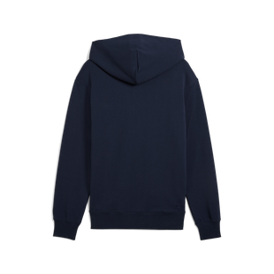 Chandail &agrave; capuchon Puma x PTC pour hommes PUMA