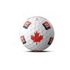 TP5x Pix Golf Balls - Canada Edition
