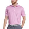 Men's Citrus Print Lisle Short Sleeve Polo