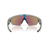 BiSphaera Prizm Sunglasses