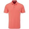 Men's Hershel Polo