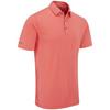 Men's Hershel Polo