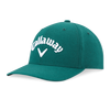 Men's Performance Pro Cap