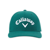 Men's Performance Pro Cap