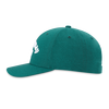 Men's Performance Pro Cap