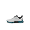 Chaussures sans crampons BIOM C4 BOA pour hommes - Gris/Sarcelle