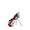 ROUGE/BLANC