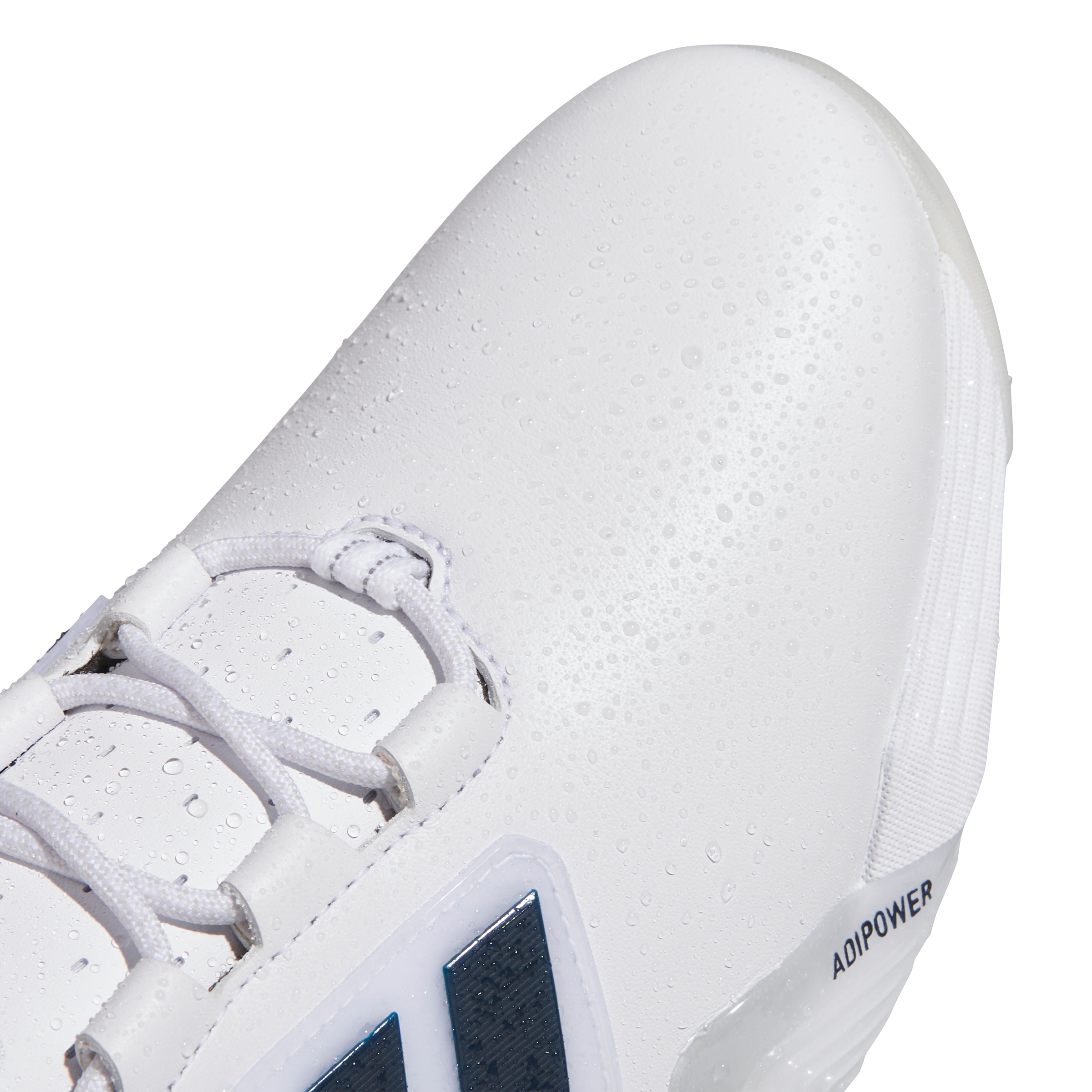 Men's AdiPower Spikeless Golf Shoe - White/Navy