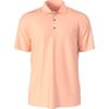 Men's Airflux Short Sleeve Polo
