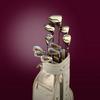 Women's Beres 10 3 Star Full Set with Graphite Shafts