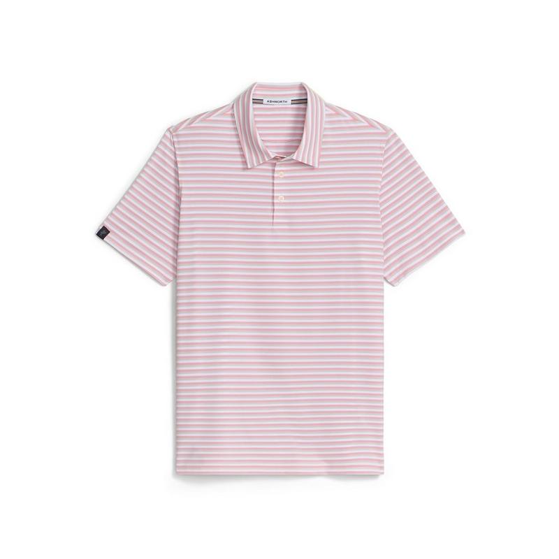 Men's Ivy Stripe Short Sleeve Polo