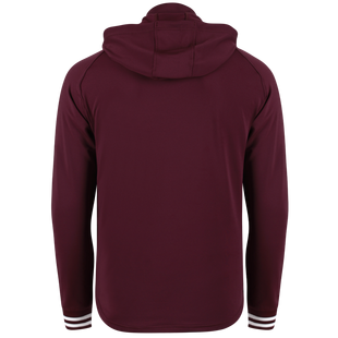 Chandail &agrave; capuchon Bryant pour hommes SWANNIES
