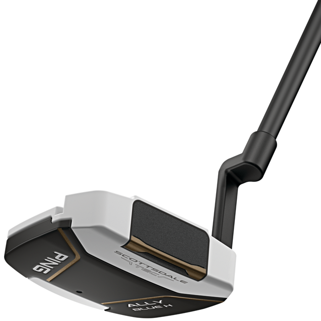 Scottsdale Tec Ally Blue H Putter PING