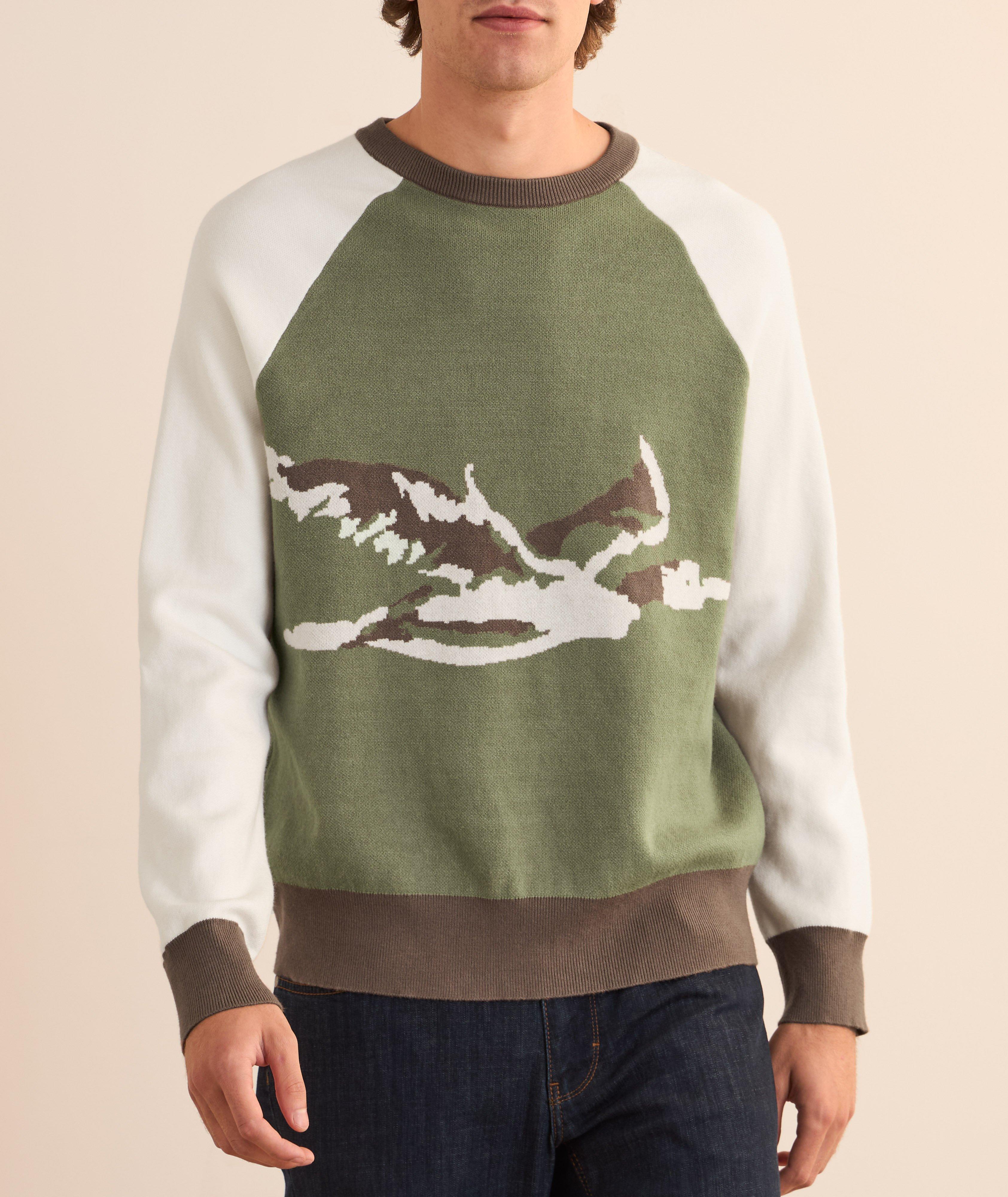 Pull ras du cou raglan à motif canard image 1
