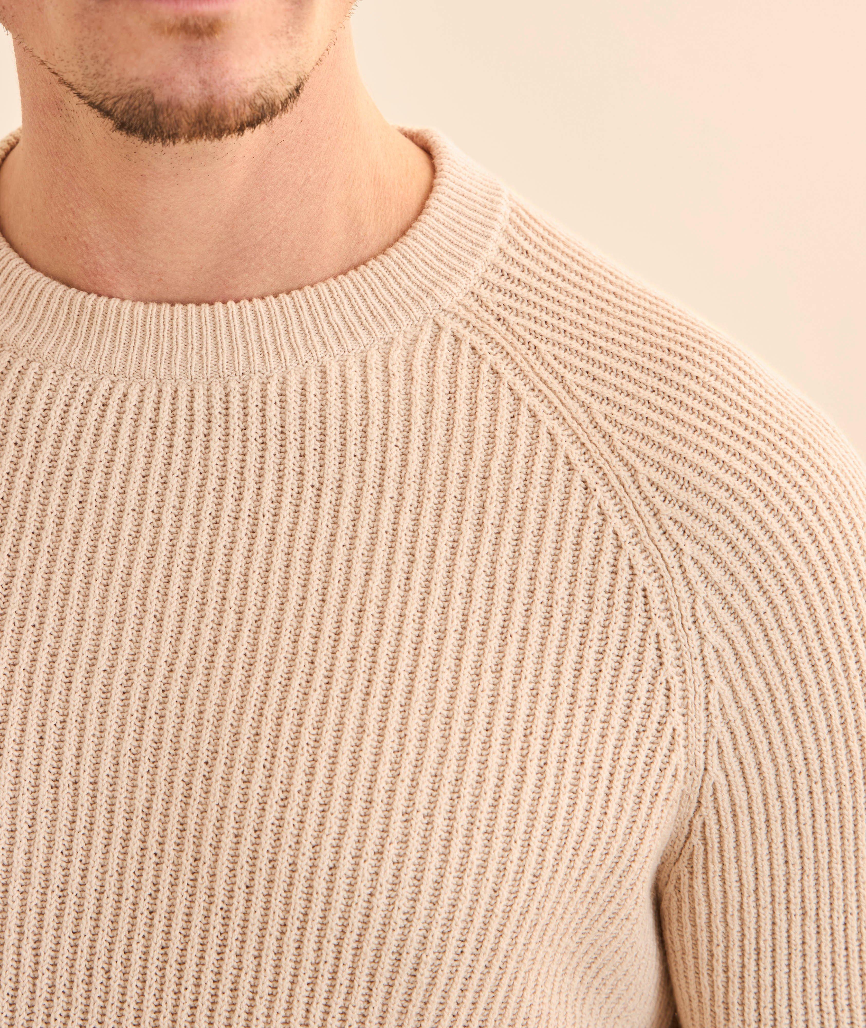 Ribbed Raglan Cotton Crewneck Sweater image 3