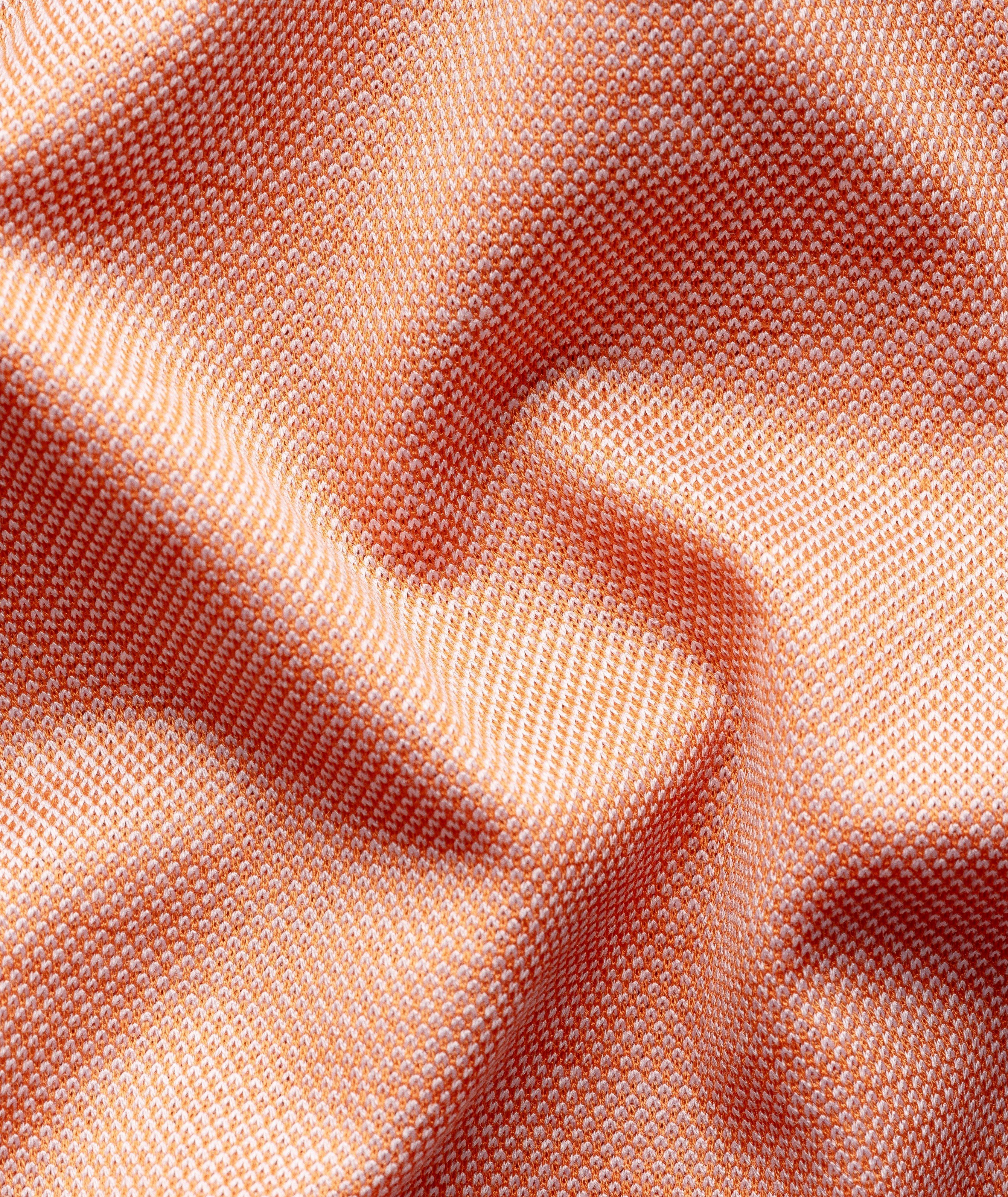 Filo Di Scozia Cotton Oxford Polo image 6