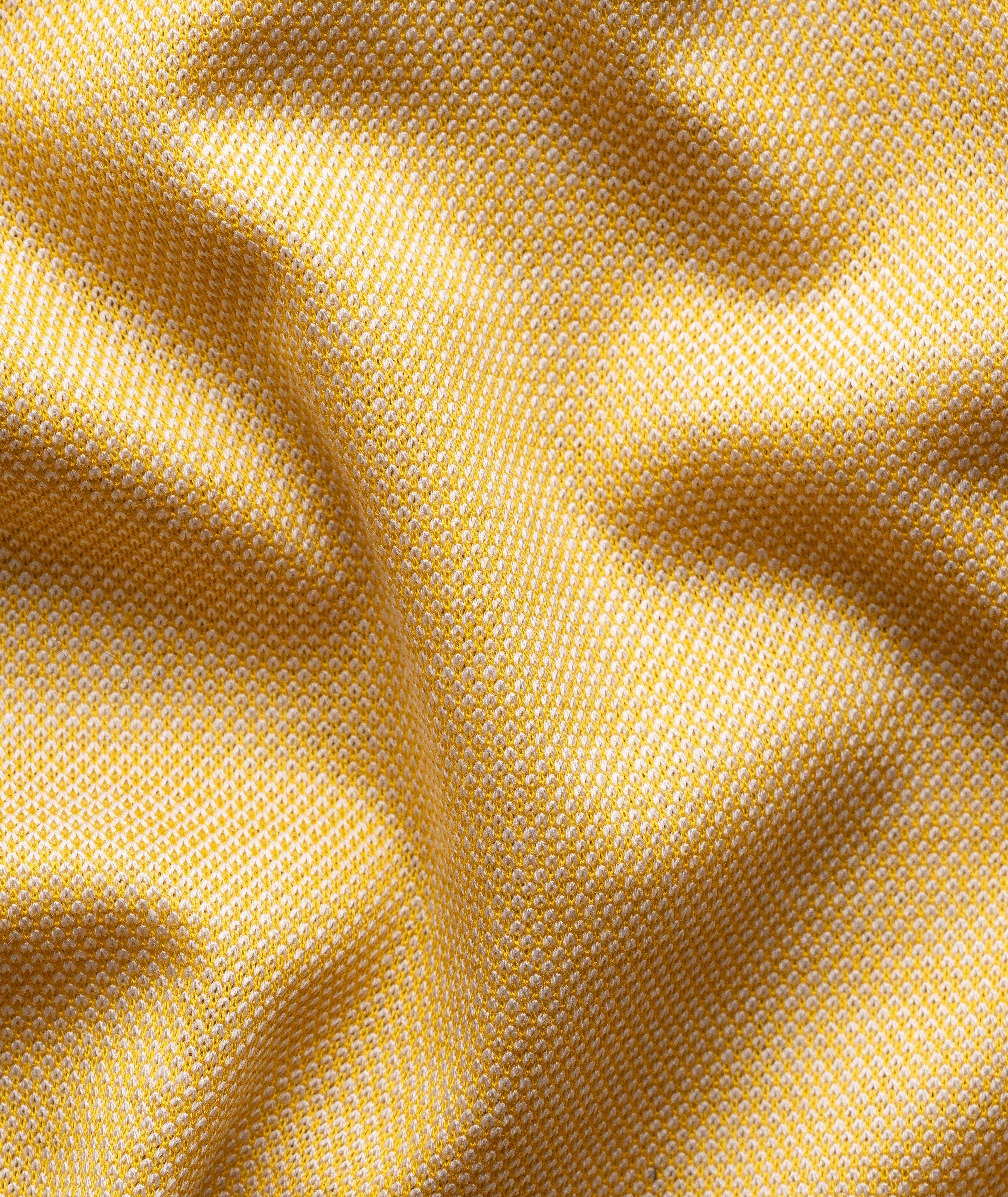 Filo Di Scozia Cotton Oxford Polo image 6