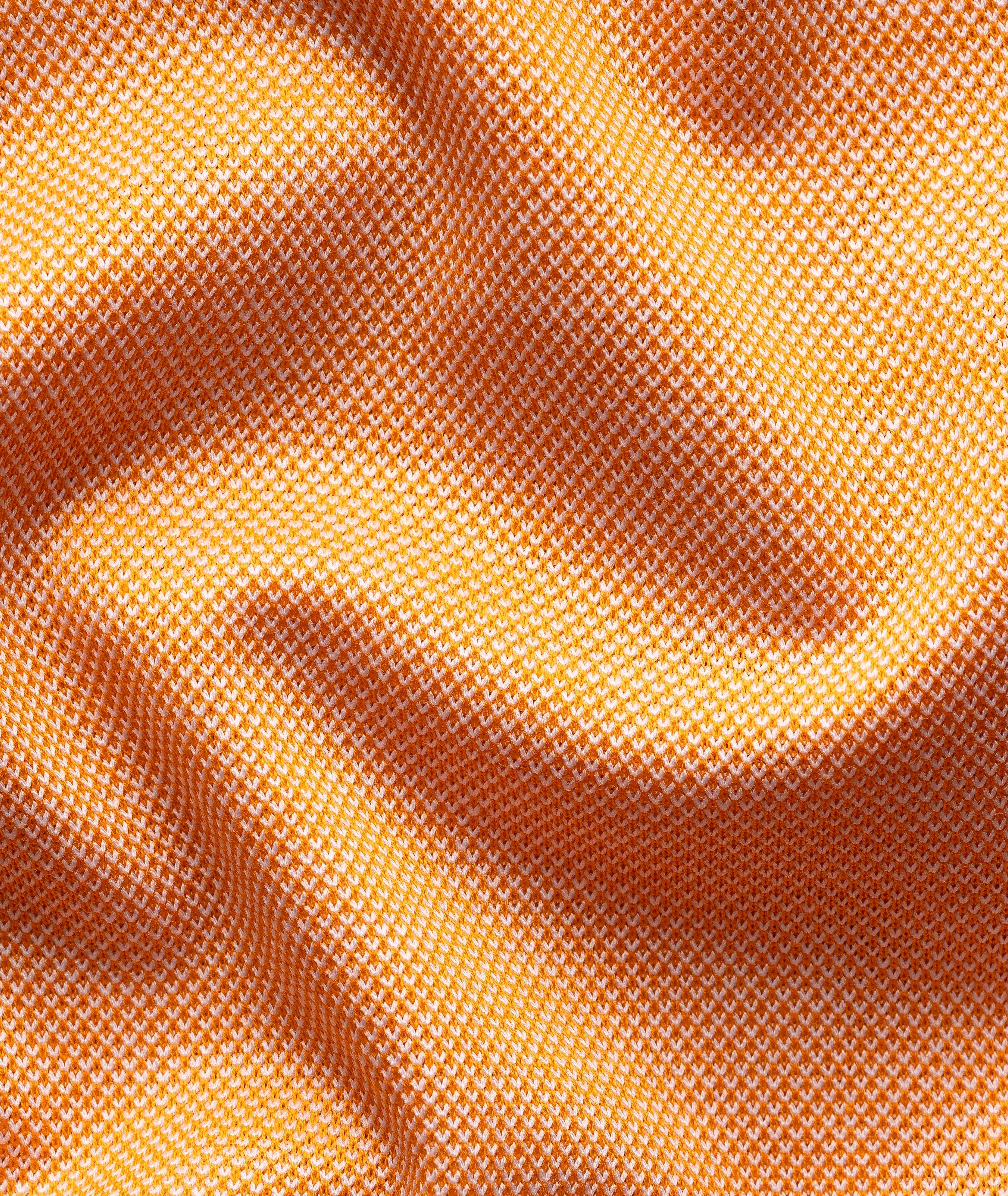 Filo Di Scozia Cotton Oxford Polo image 6