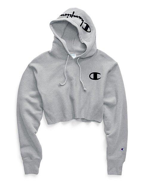 champion hoodie hibbett sports