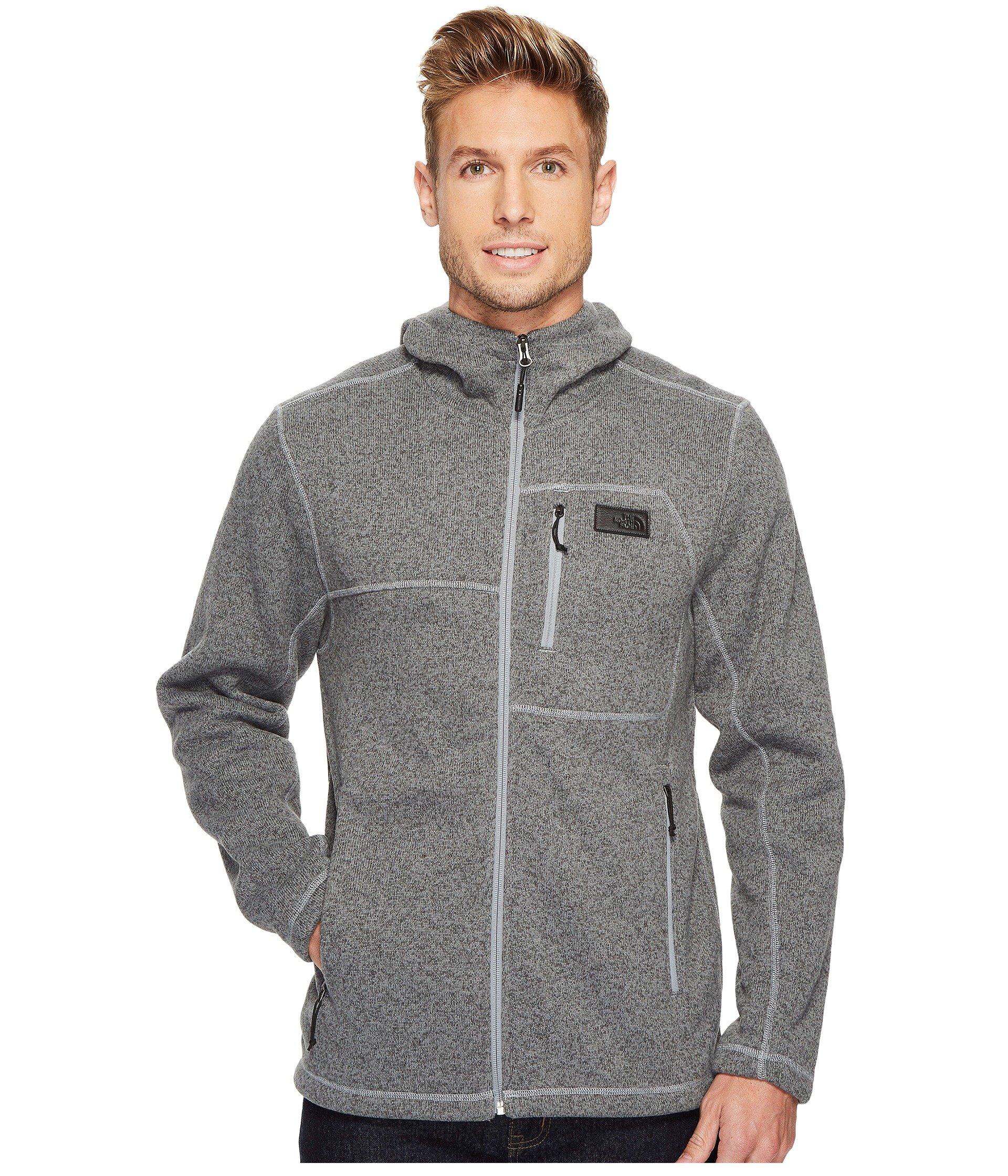 the north face men's m gordon lyons hoodie