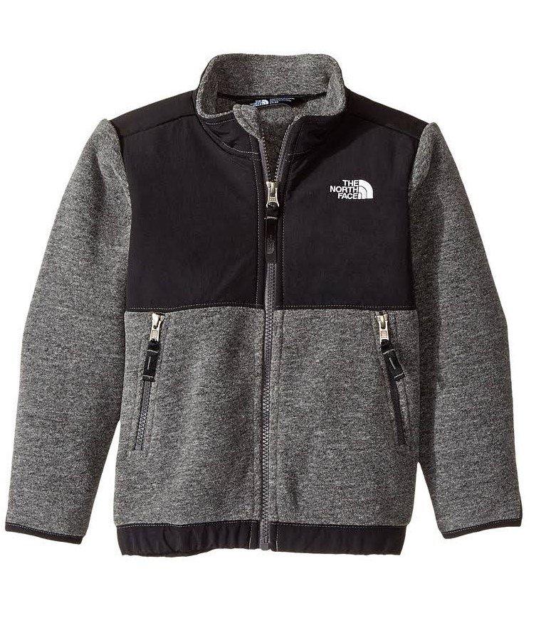 north face denali 3t