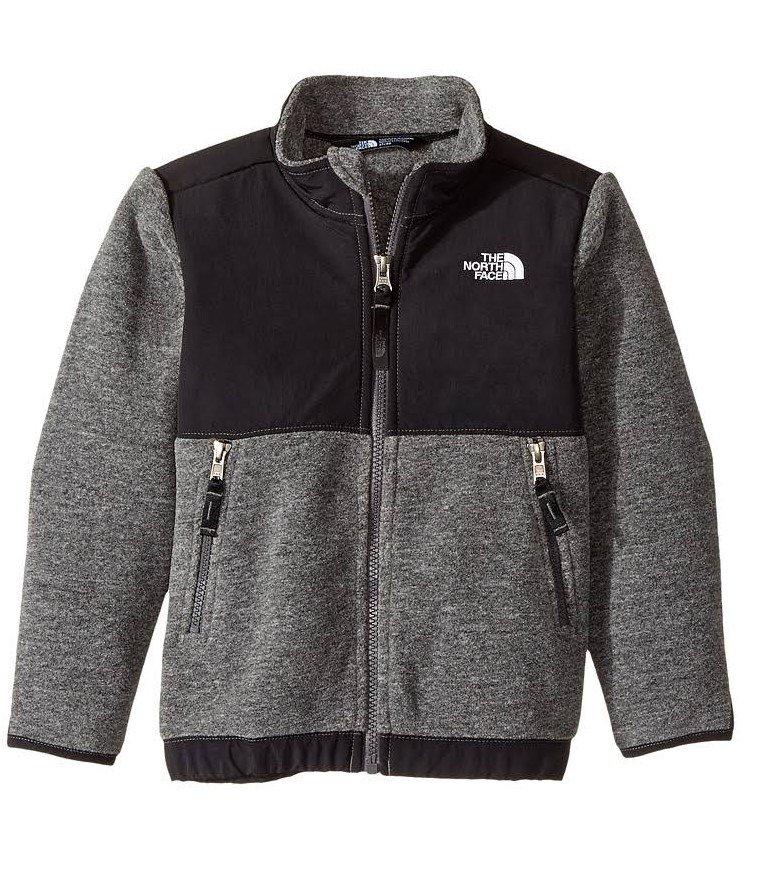 the north face toddler denali jacket