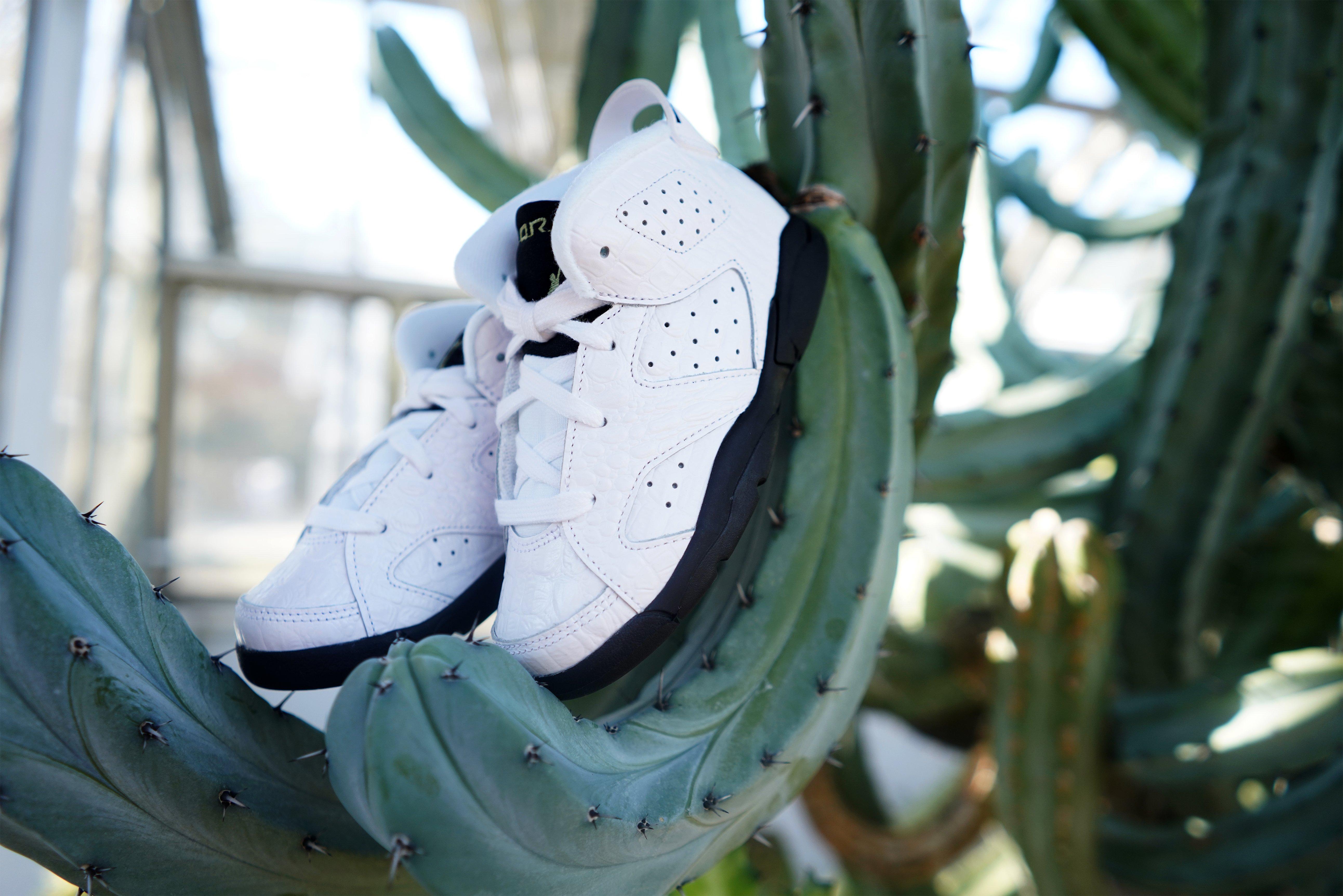 jordan retro 6 toddler boy