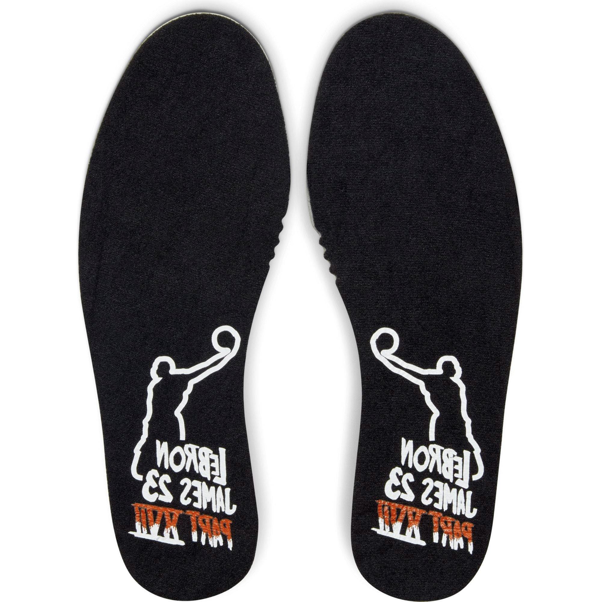 lebron james james gang shoes