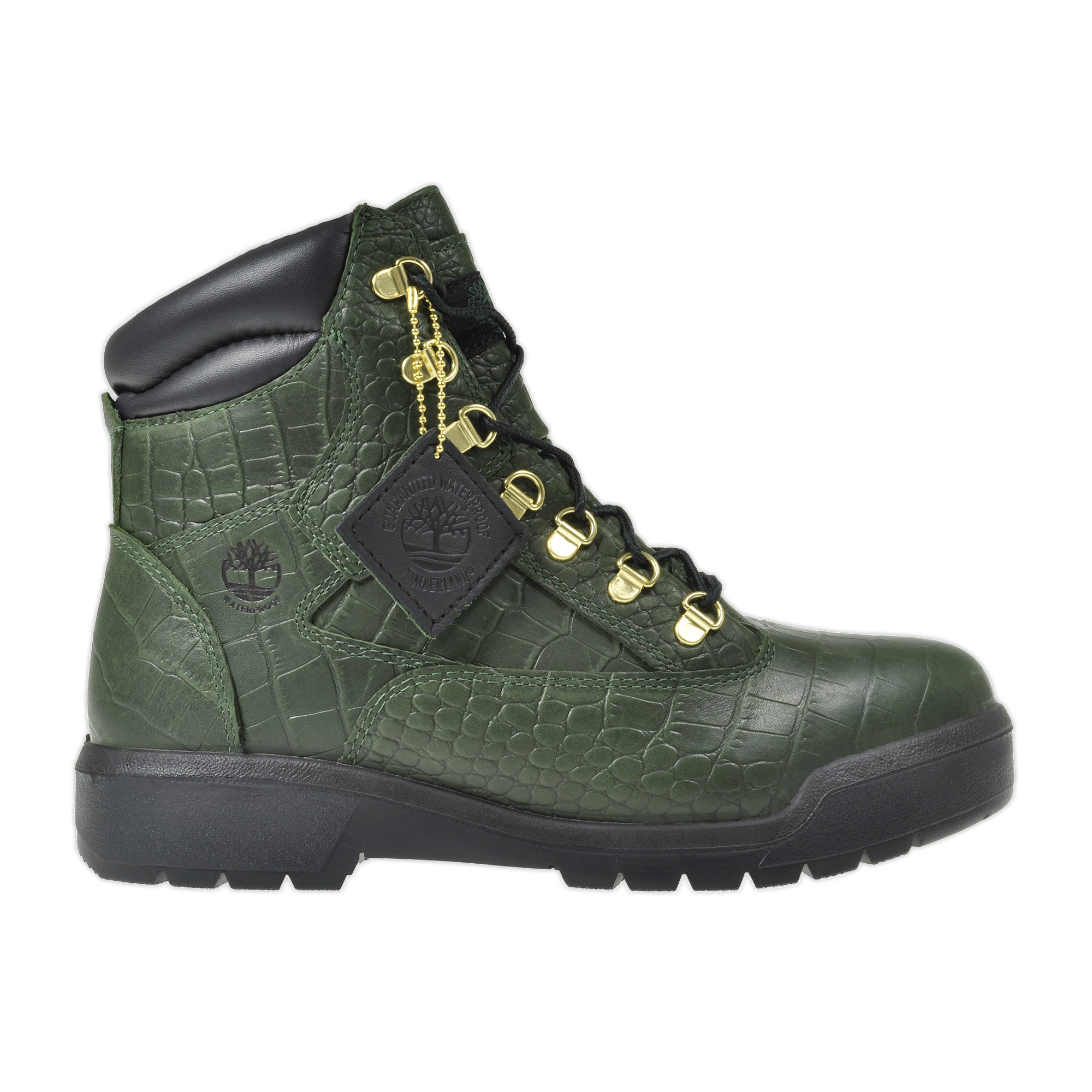 crocodylian timberland