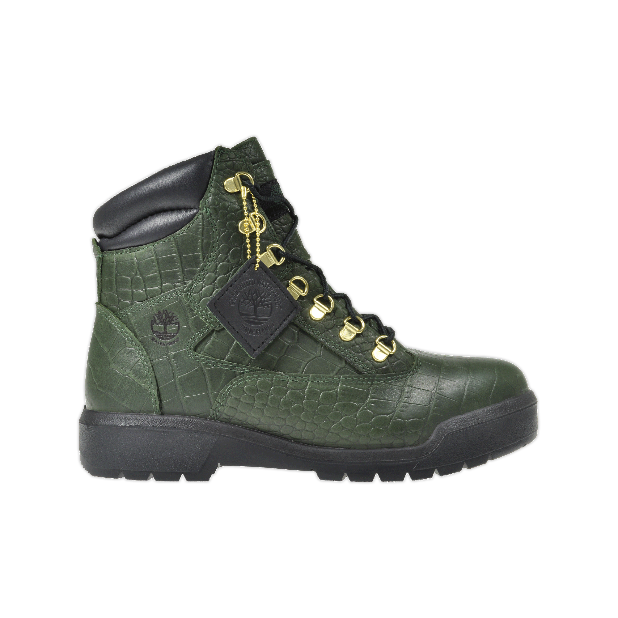 timberland crocodylian