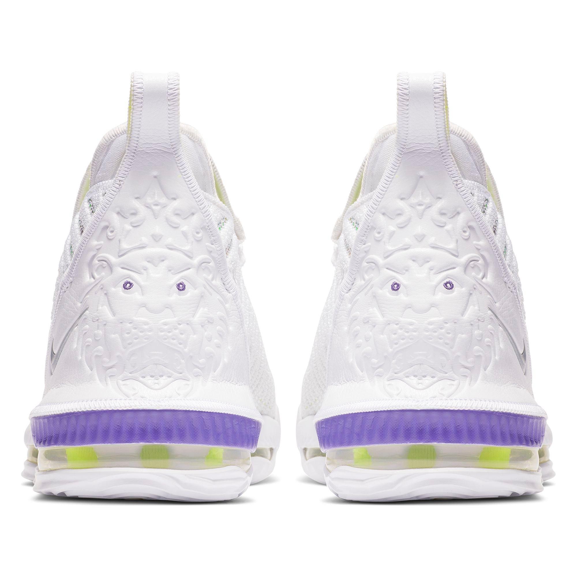 lebron 16 hibbett sports