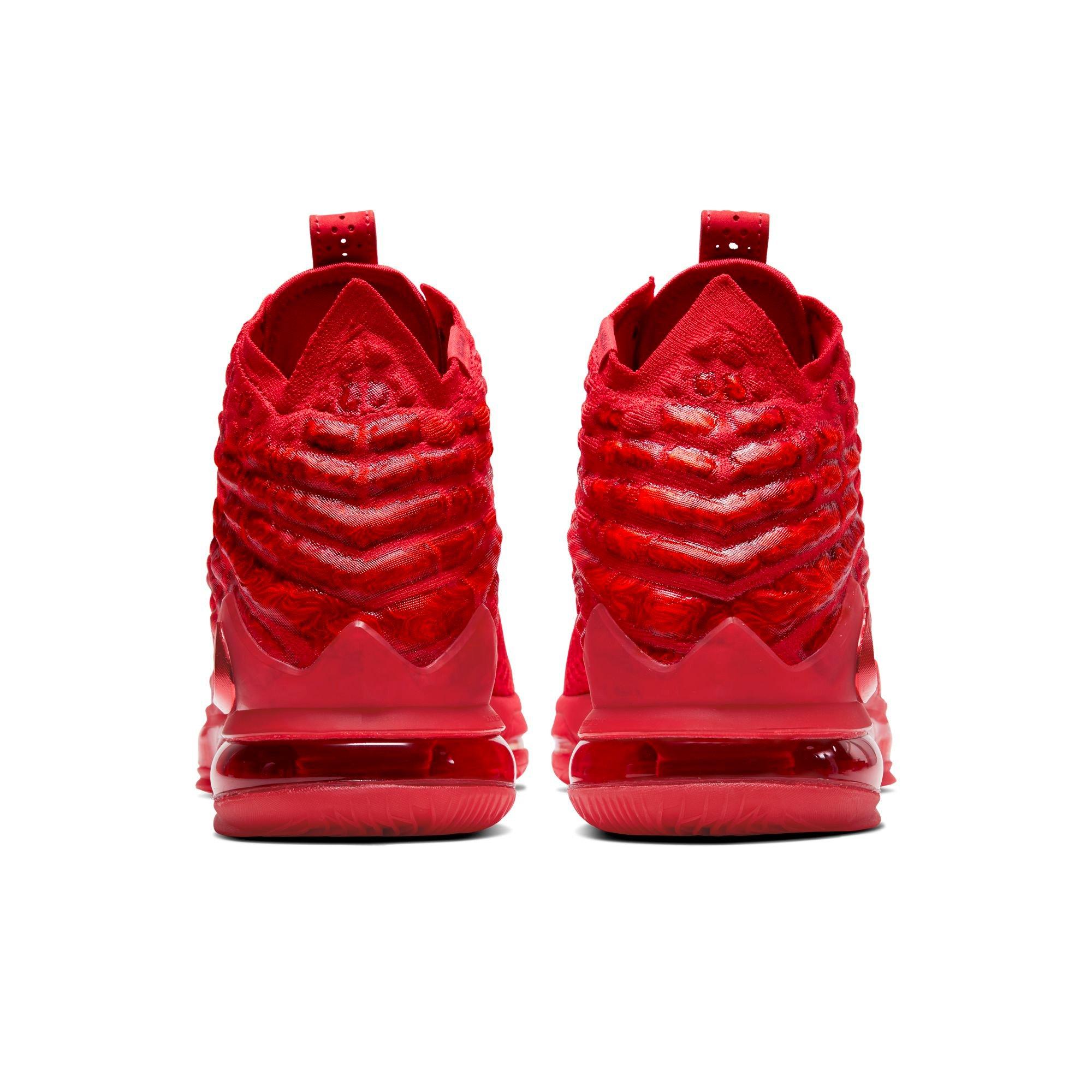 hibbett sports lebron shoes