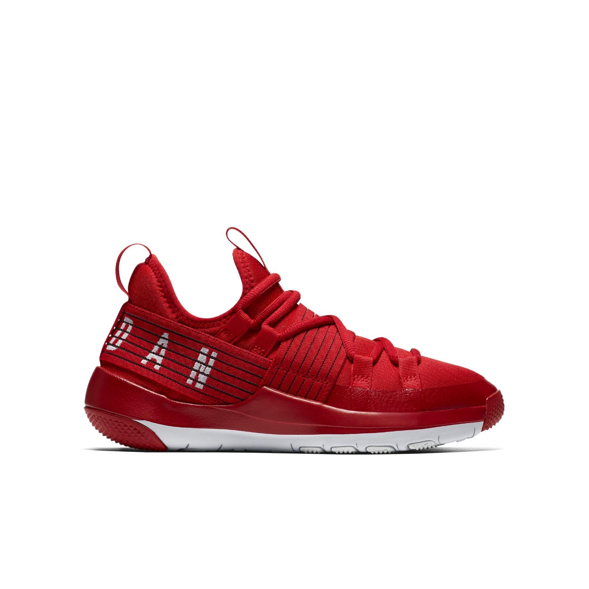 jordan trainer pro price