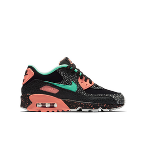 hibbett sports air max 90